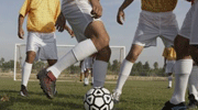 里加足球学院vs格洛比纳今日直播在线观看-09-01-拉脱杯比分-咪播体育